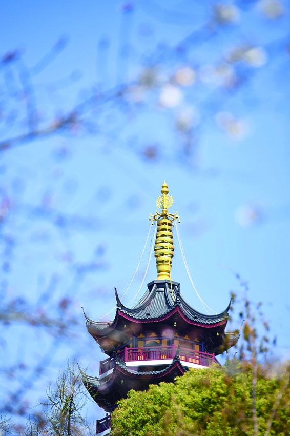 圖10.jpg
